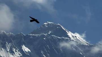 A bird flies with Mount Everest seen in the background from Namche Bajar, Solukhumbu district, Nepal.