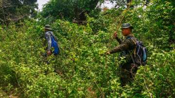 CRPF personnel during a search for Naxalites in sensitive areas of Dantewada