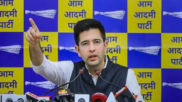 Aam Aadmi Party (AAP) Rajya Sabha MP Raghav Chadha 