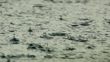 Weather updates: IMD issues 'Orange alert' for Haryana, Rajasthan, UP amid thunderstorms possibility in Delhi