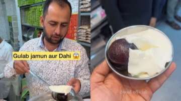 Gulab jamun meets curd