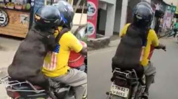 Tamil Nadu man rides bike with helmet-wearing pet dog