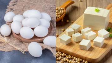 Eggs vs Paneer