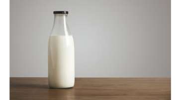 World Milk Day: Try these lactose free milks