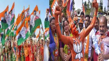 National parties- Congress and BJP- spent cores on campaigns to woo voters
