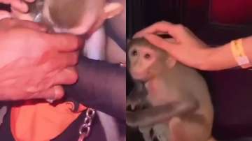 West Bengal: 2 held for chaining monkey for theme party in Kolkata | Viral Video 