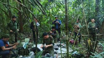 Children, lost for 40 days in amazon forest, found alive