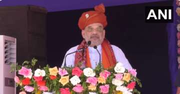 Union Home Minister Amit Shah addresses a rally in Gujarat 