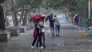 Fresh spell of rain makes weather pleasant in Delhi-NCR