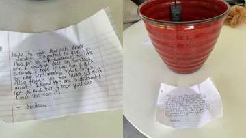 Delivery man breaks flower pot accidentally