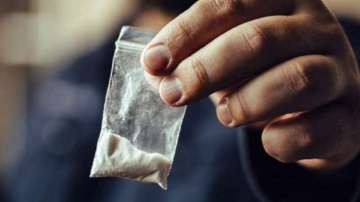 Drug seized in Mizoram, Drugs seized