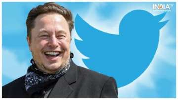 Elon Musk, Twitter, Twitter Blue, Twitter DMs, Twitter AI bots, Twitter Features
