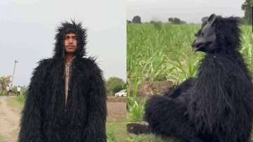 Uttar Pradesh: Farmers wear 'bear costume' to protect sugarcane crop from monkeys | Pics