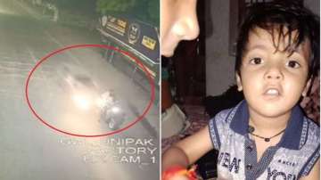 Killed, Madhya Pradesh accident, 8-year-old killed, crime