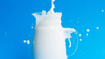 World milk day