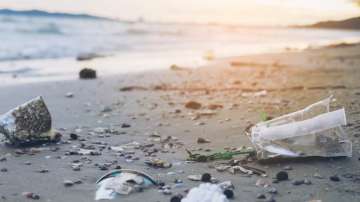 Plastic is thrown into the ocean like it is routine, this waste does not degrade and remains on earth for hundreds of years.