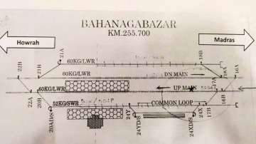 Yard layout