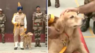 CISF dogs get grand farewell