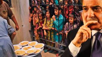 Pakistan economic crisis: PM Shehbaz sharif pleads IMF for $6 billion bailout package
