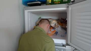 Here's why Google shows heads in the freezer