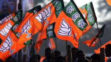 BJP, Lok Sabha elections 2024