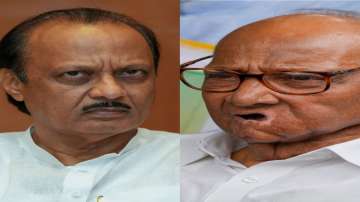 Sharad Pawar, Ajit Pawar