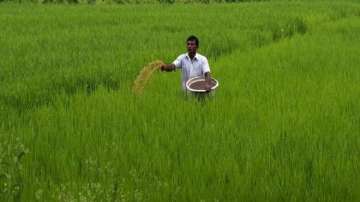Retail inflation for farm, rural workers rises marginally in June