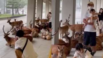  A herd of deer and humans were seen standing together.