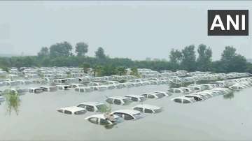 Amid surge in Hindon River several vehicles submerges
