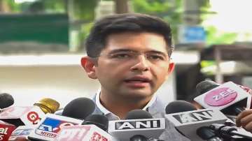 AAP MP Raghav Chadha termed the parliamentary Bill replacing the Delhi Ordinance as 'impermissible'