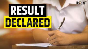 Kerala Plus Two SAY Result 2023, Kerala Plus Two SAY Exam Result 2023