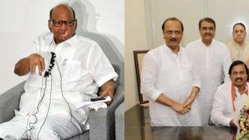 Sharad Pawar talks tough after nephew Ajit Pawar keeps his photo in new NCP office 