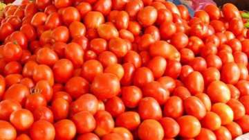 Gang hijacks truck laden with 2.5 tonnes of tomato
