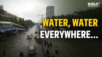 Yamuna floods