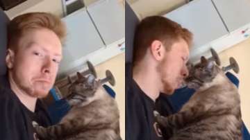 Heartwarming video of cat giving a kiss to man