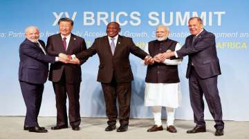 BRICS leaders at the Summit