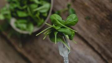 Basil seeds