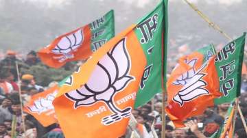 BJP bags 21 seats in local body by-polls