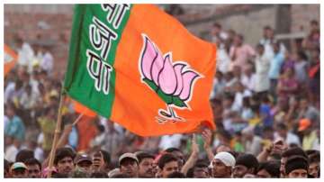 BJP, 2024 Lok Sabha Polls