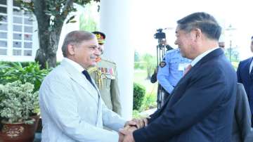 Pak PM Shehbaz Sharif with Chinese Vice Premier He Lifeng