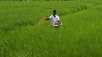 Central govt likely to hike amount under PM Kisan Samman Nidhi to help farmers