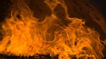 Maharashtra, Thane Luxury car fire, car gutted in fire two occupants escape unhurt, Thane car fire n