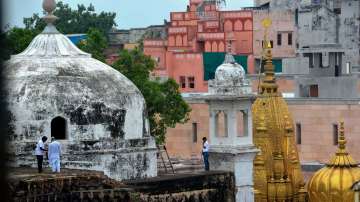 Members of the Archaeological Survey of Indias (ASI) team conduct scientific survey at the Gyanvapi mosque complex, in Varanasi