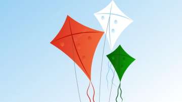 Flying kites on Independence Day