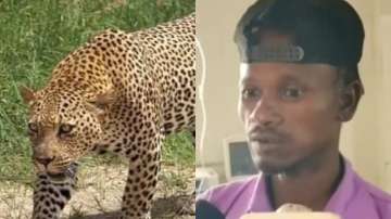 A father saves his 4-year-old kid from leopard attack