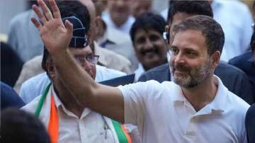 Congress leader Rahul Gandhi to re-enter Parliamentary Standing Committee on Defence