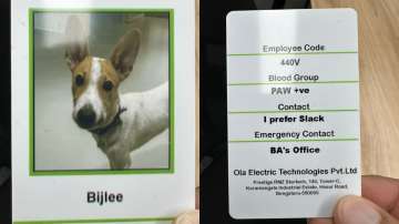 Ola Electric's CEO introduces their newest employee ‘Bijlee’.
