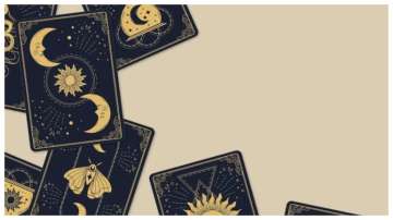 Tarot cards reading Aug 24