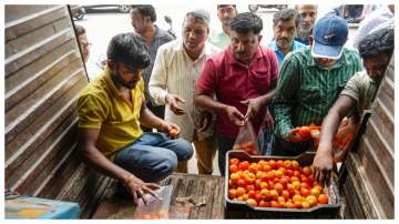 Tomatoes, Uttar Pradesh