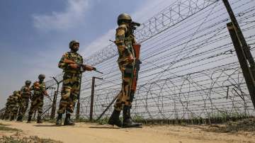 Punjab, Punjab news, Punjab latest news, Punjab BSF, pakistani intruder shot down, intruder shot 